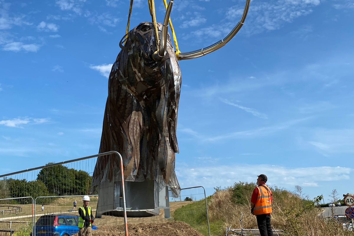 Mammoth Craned Into Position (5)