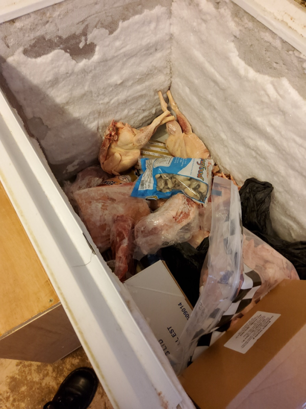 Sushione Food Storage