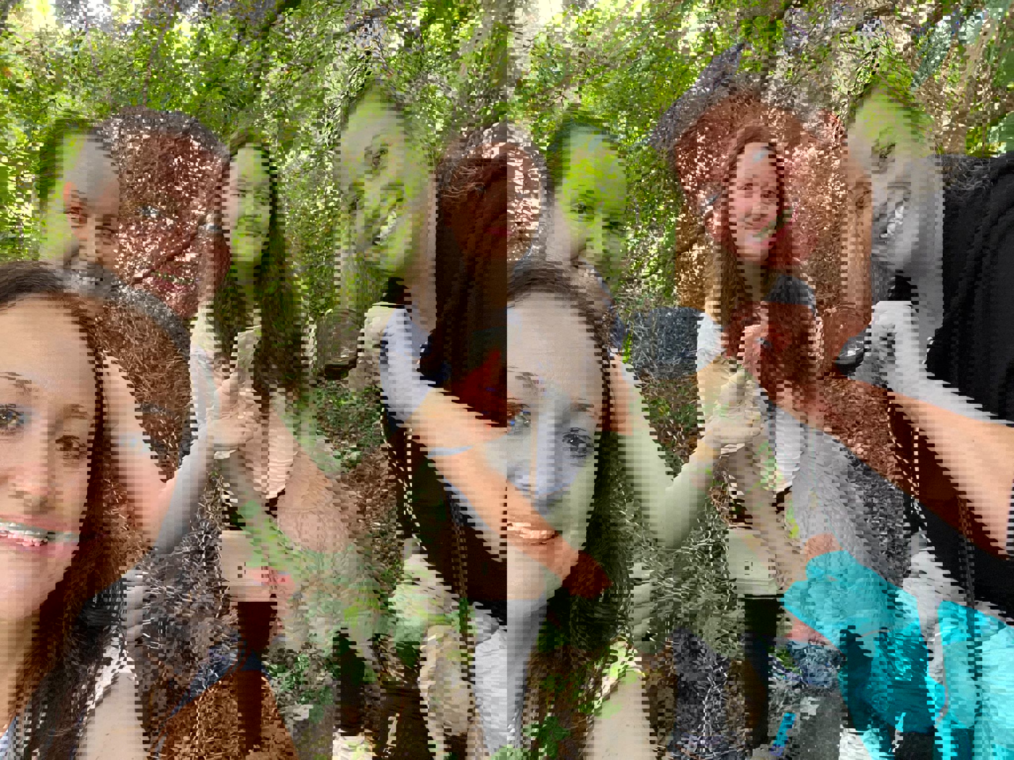 A team discover a geocache at Hylands Estate