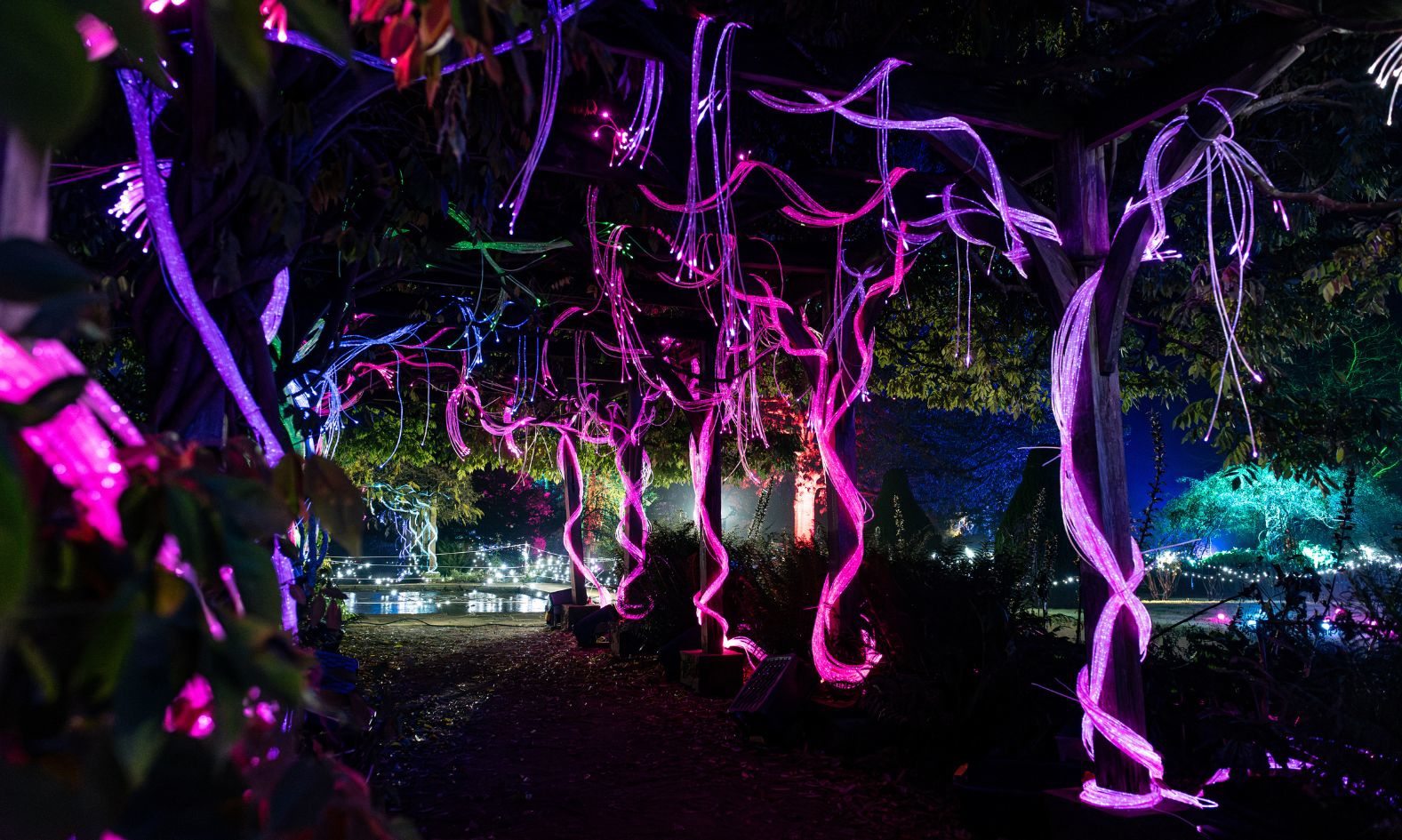 Enlightened 2024 (3)