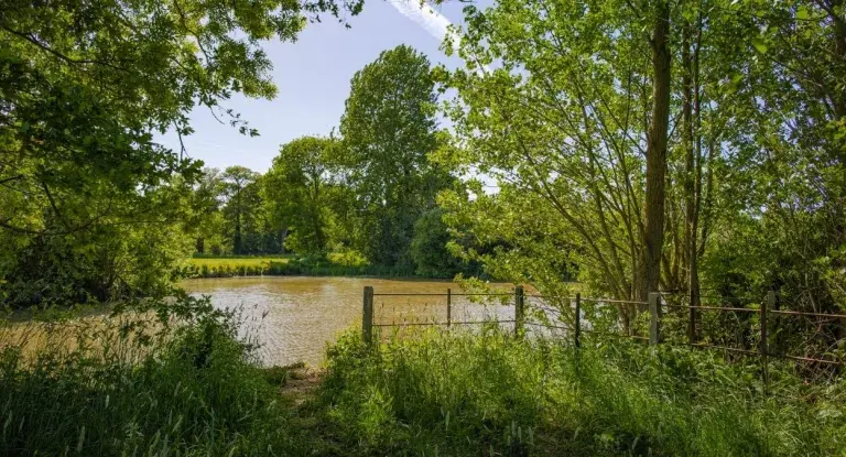 Hylands Estate