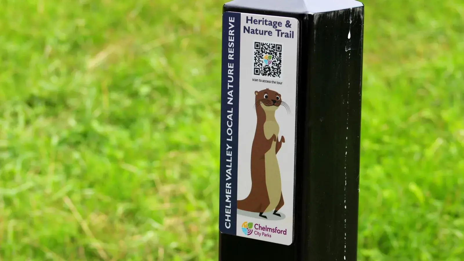 Harry Otter QR Code At Chelmer Valley Nature Reserve