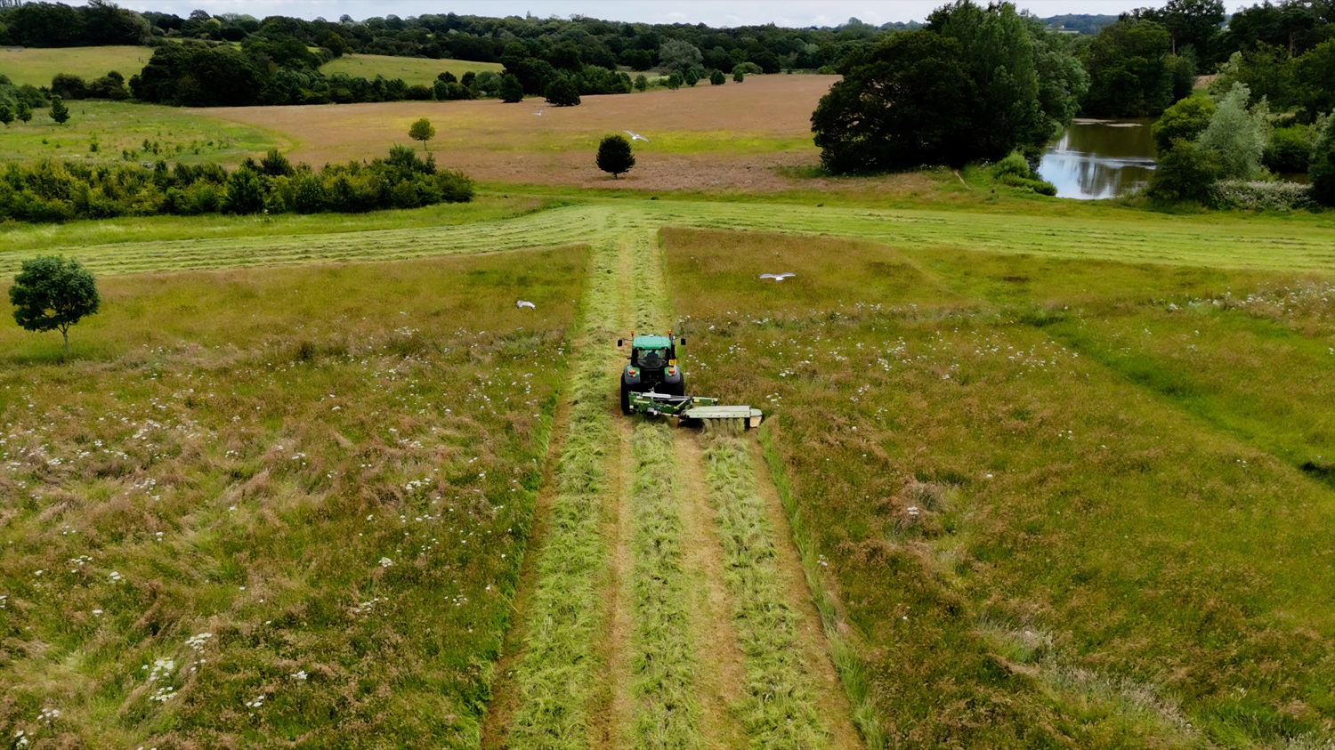 CCC Parks Haymaking July 2024 Grab 3 Low Res