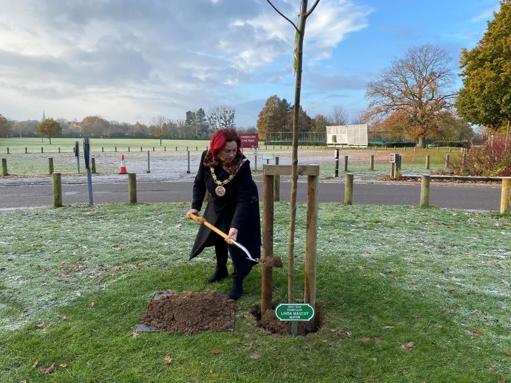 Mayor Mascot planting maple tree