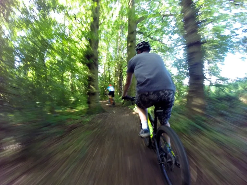 Cycling In A Forest