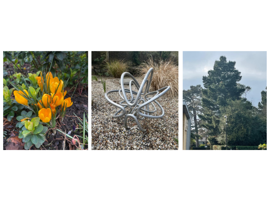 The Winning Photos Of Chelmsford City Council’S I Spy Facebook Competition