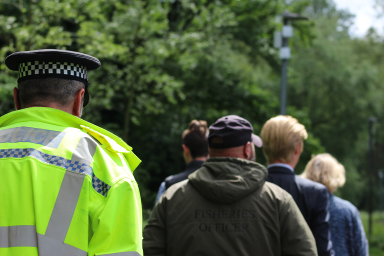 Partners View Bunny Walks Projects