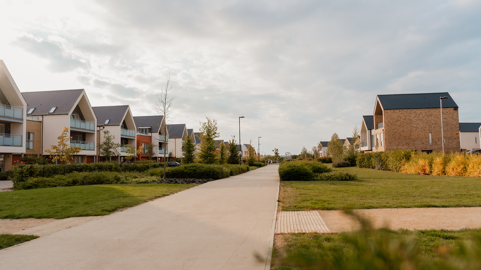 Untitled Design (19)