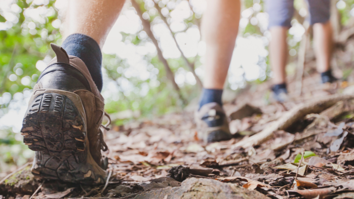 A Close Up Of Someone's Walking Boots As They Make Their Way Through Leafy Woodland