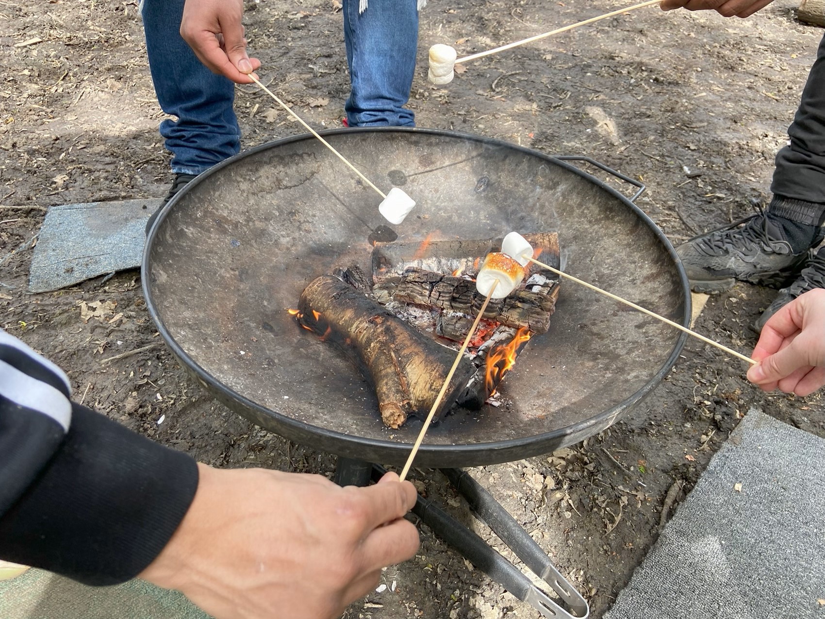 014 Marshmallows Over Campfire