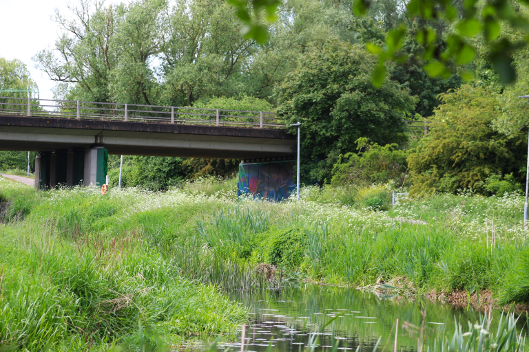 River Chelmer And Underpass