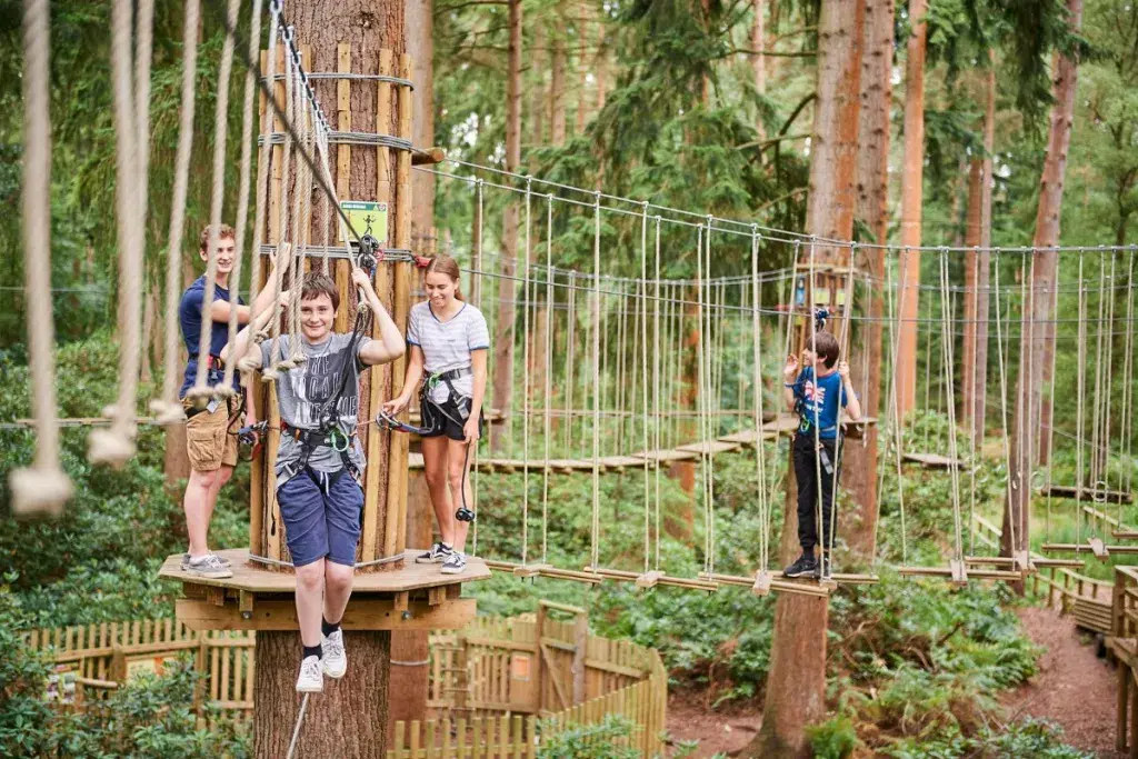 Go Ape