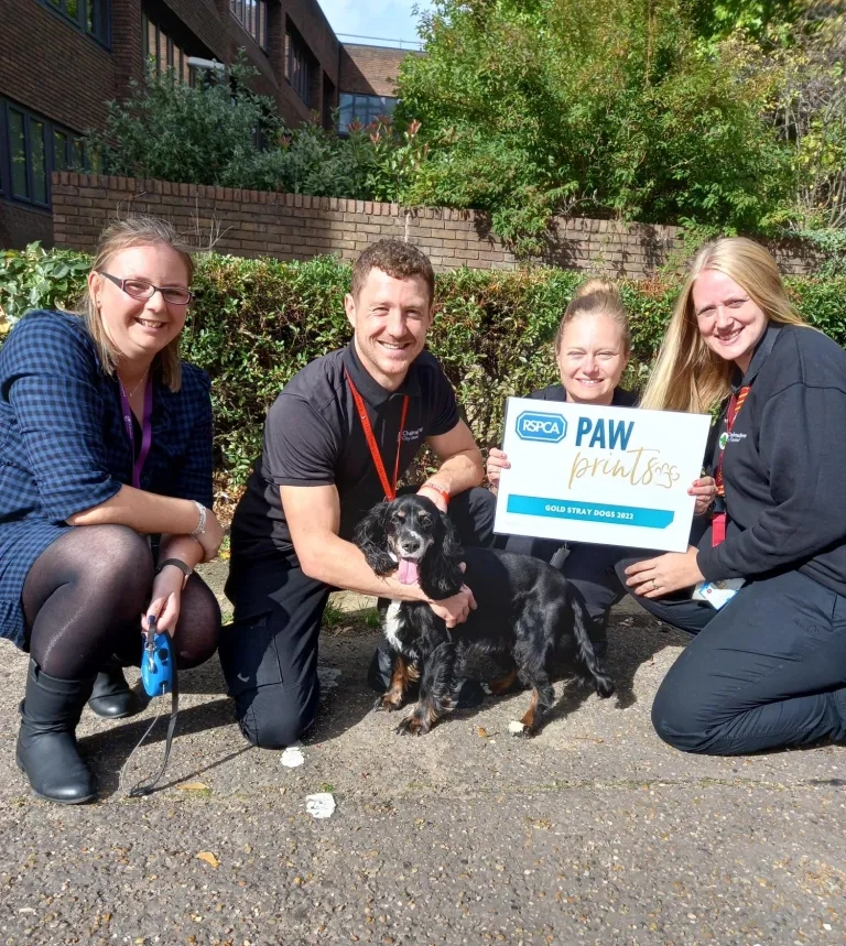 Dog wardens and dog posing with Pawprints award