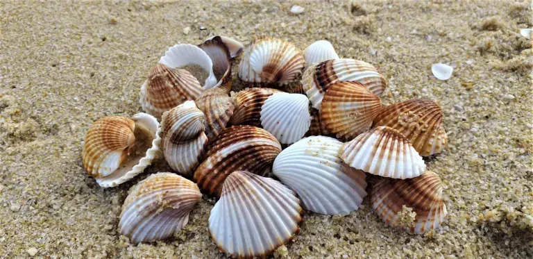 Dementia Workshop Shutterstock (3)