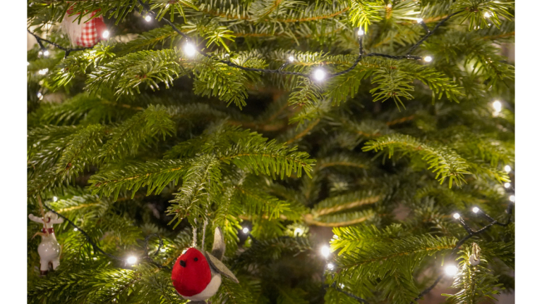 Christmas tree with decorations 01