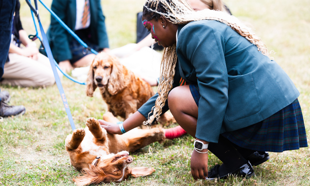 Skills Fest City Life (3)