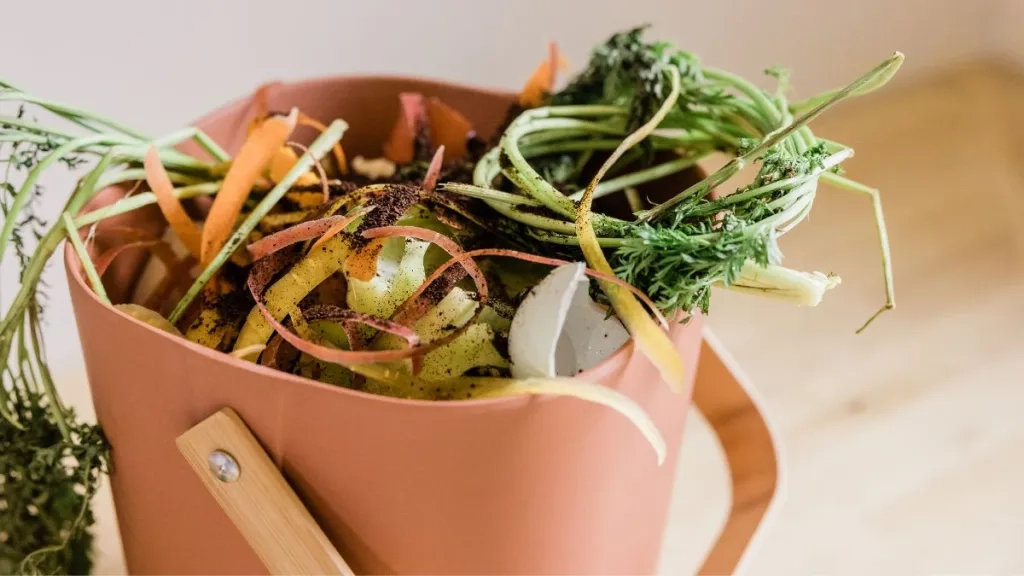 Food waste