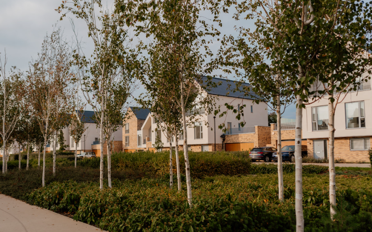 Housing In Chelmsford