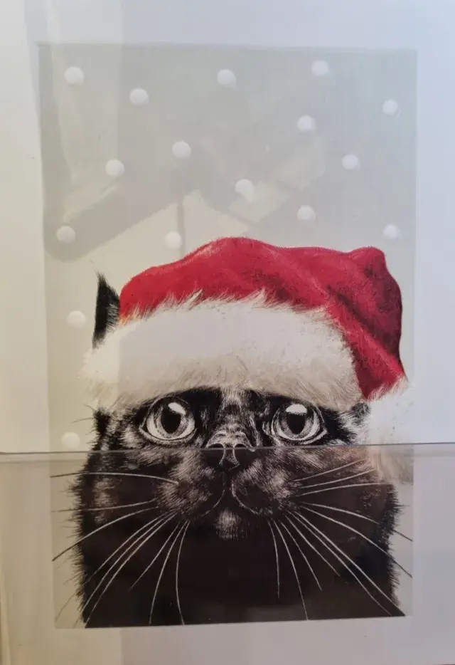 Black cat Christmas card