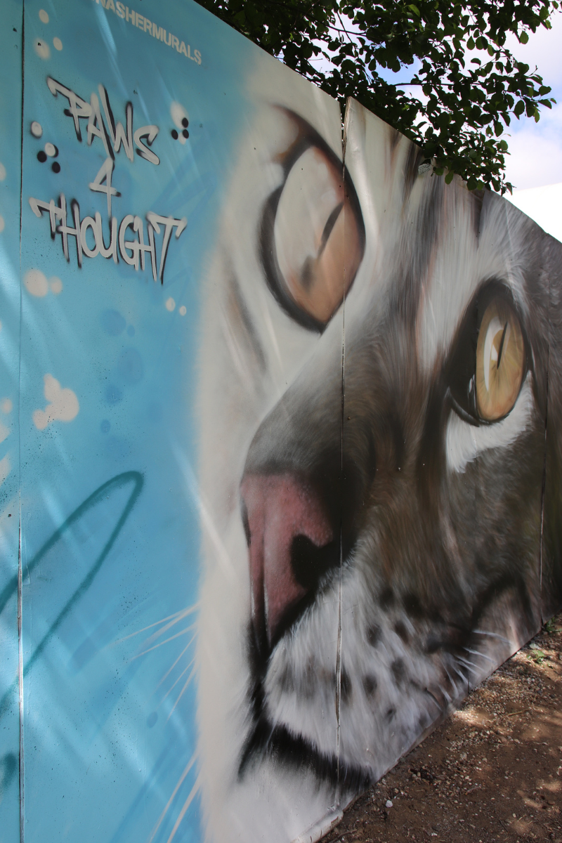 Concrete Canvas 2023 Riverside 2