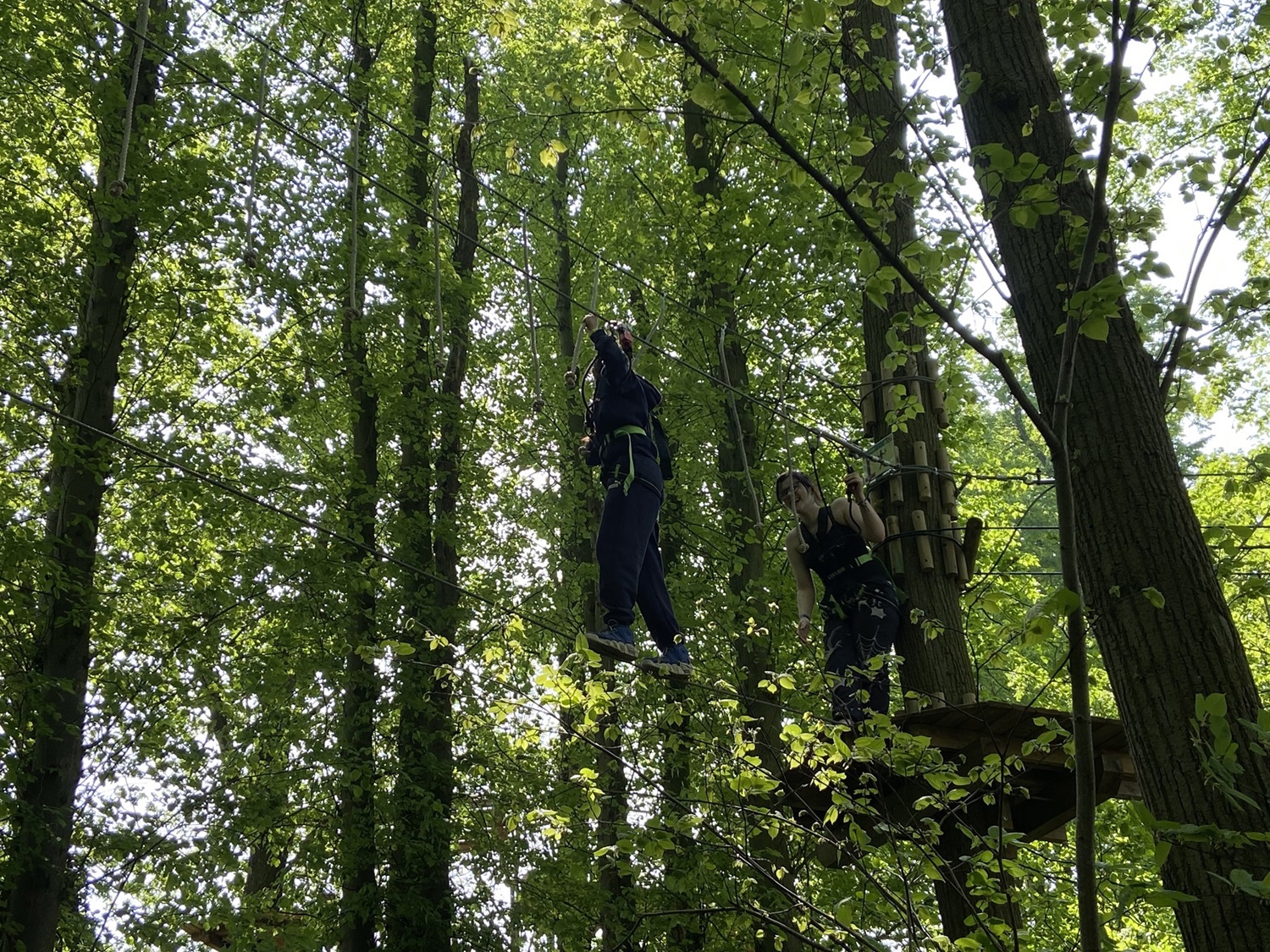 D4595F2F 42F2 4DED A3C5 78F556ECB54A