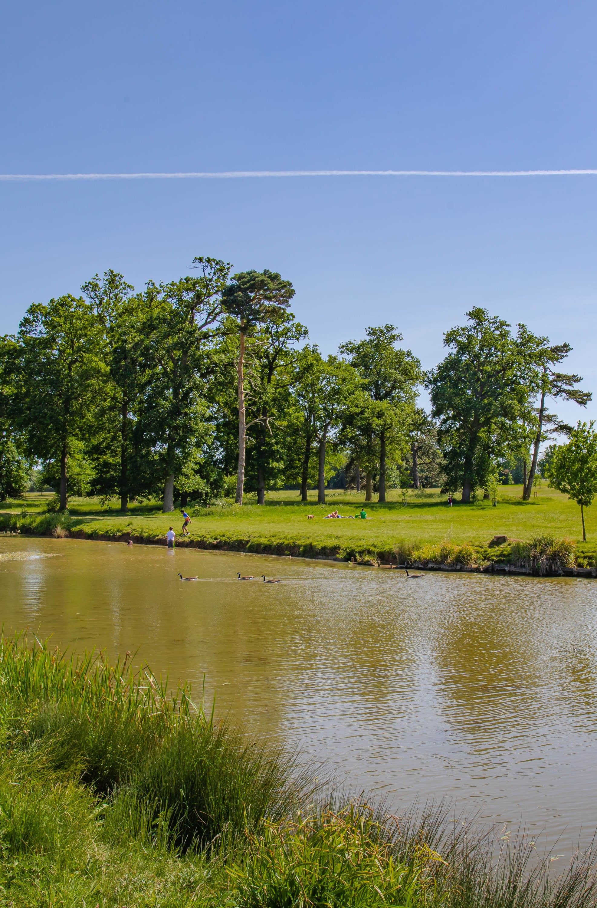 Hylands Park with Serpentine Lake Aaron Crowe
