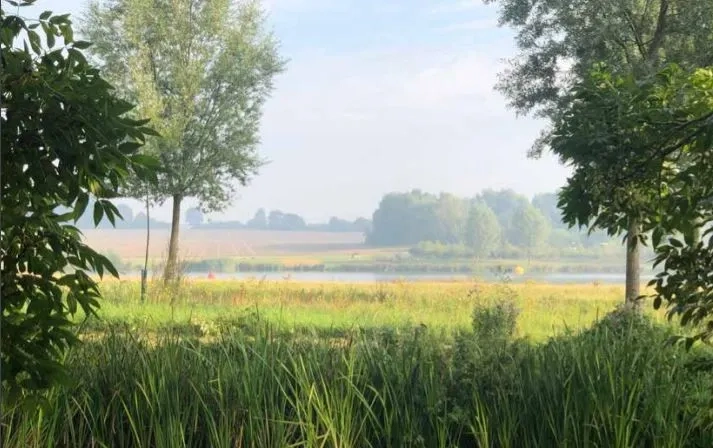 Field with river at the bottom surrounded by trees
