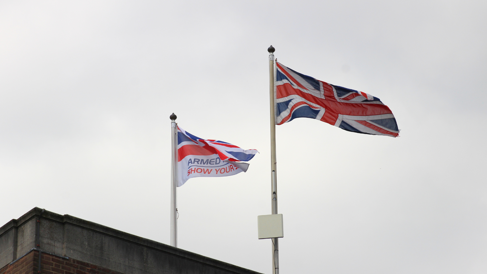 Armed Forces Flag (2)