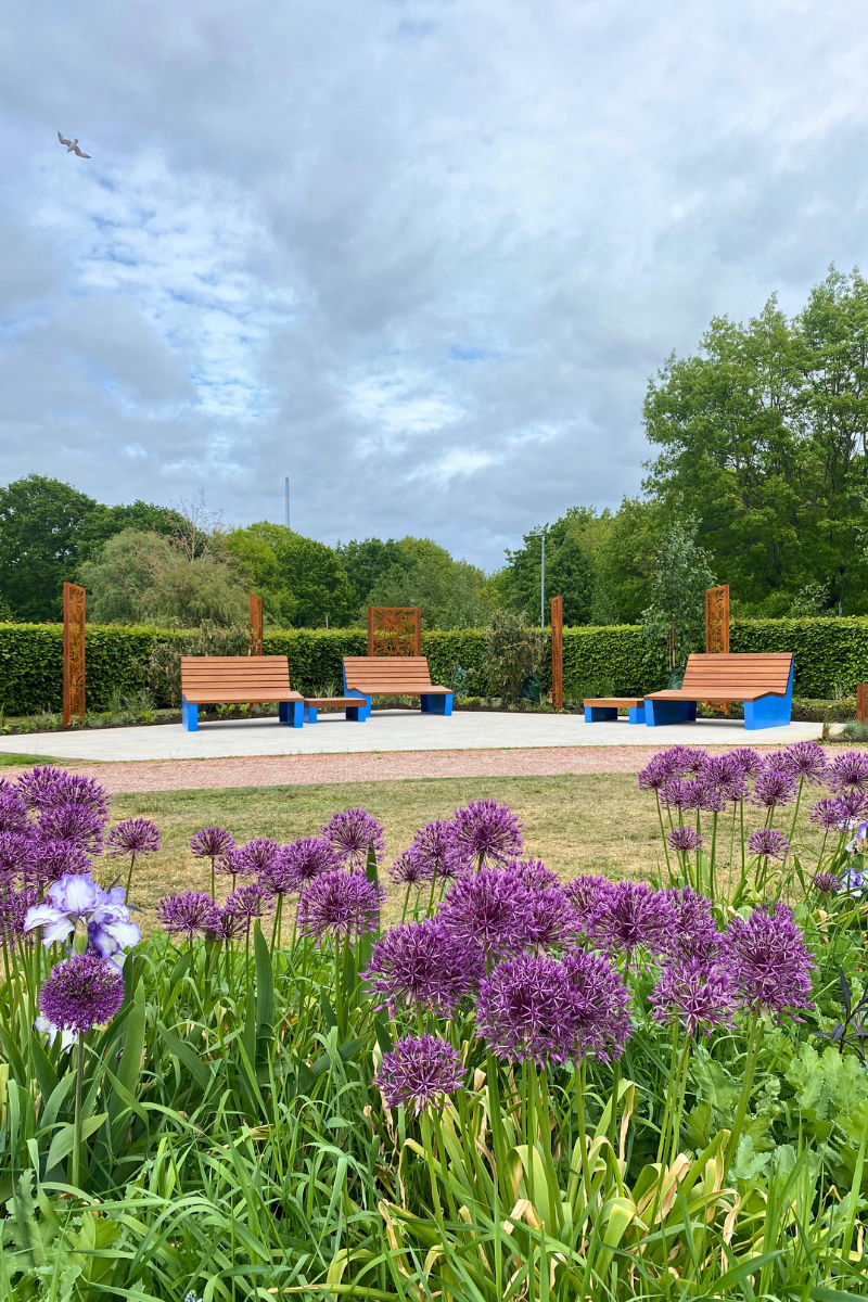 The Social Seating Area Is Seen Beyond Allium Flowers In Central Park Cafe Gardens