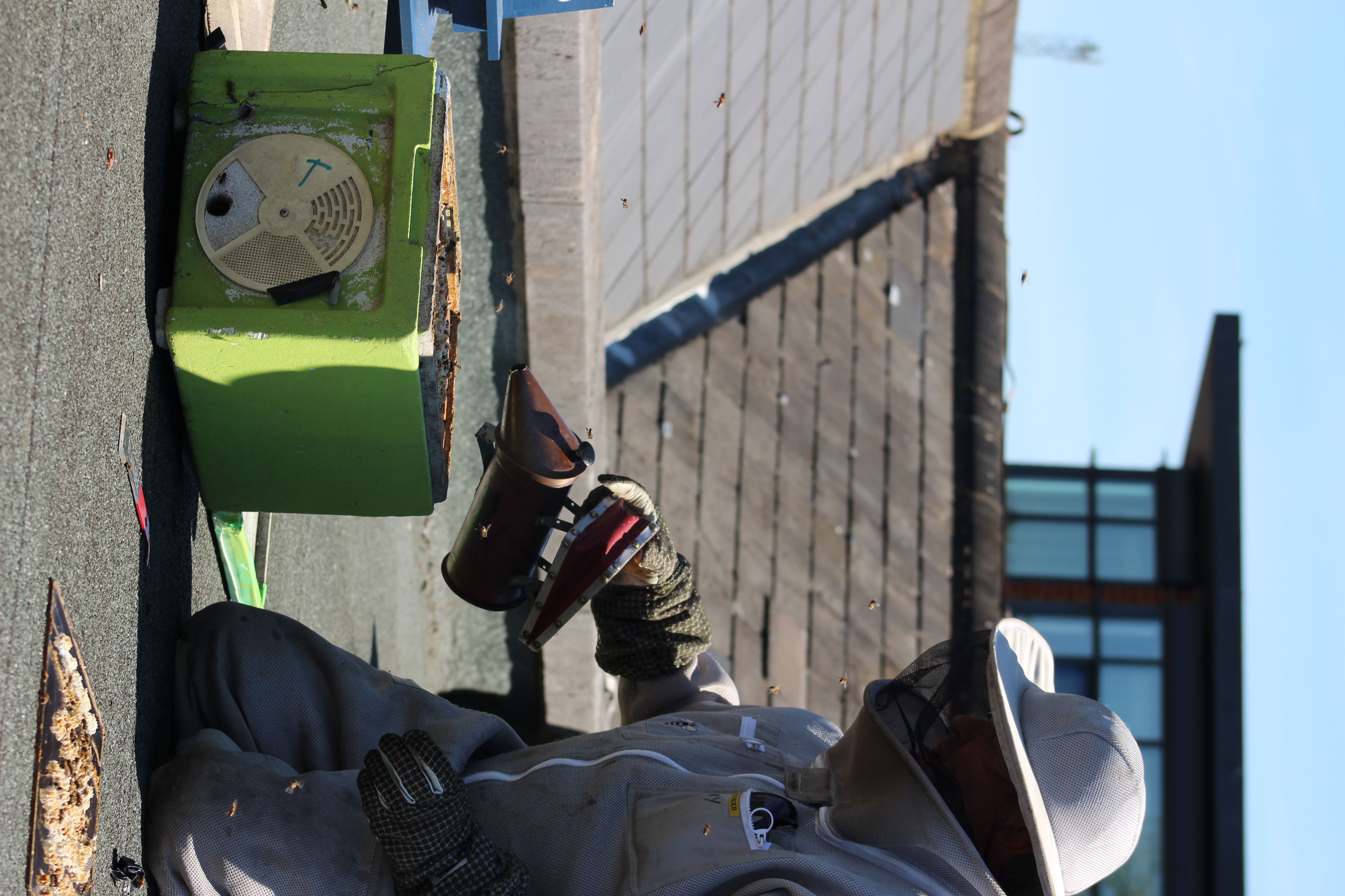 Tony Briggs With Civic Centre Beehive