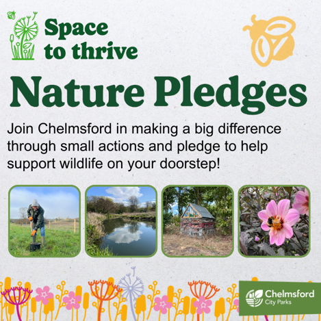 City Life Side Ad For Nature Pledges (1)