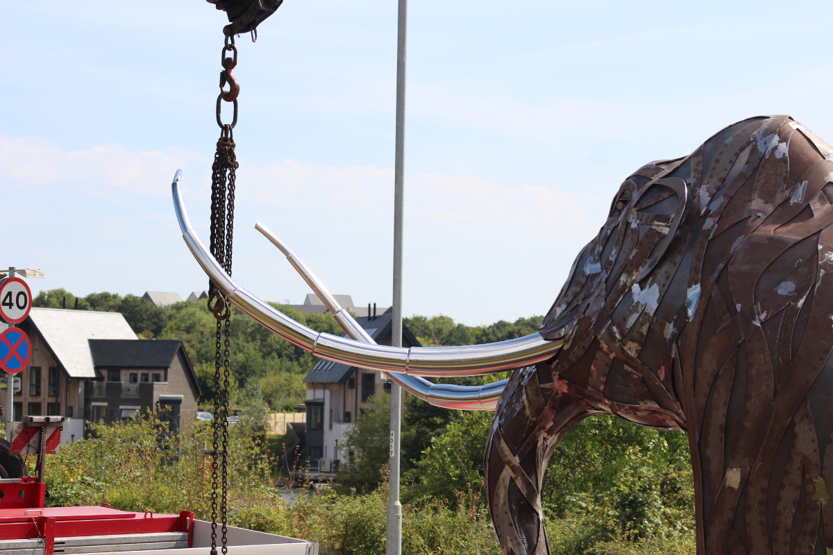 Mammoth Craned Into Position (15)
