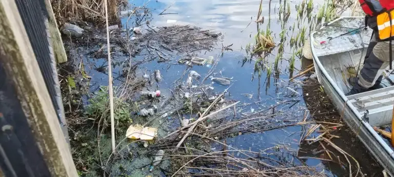 Floating waste bottles in river