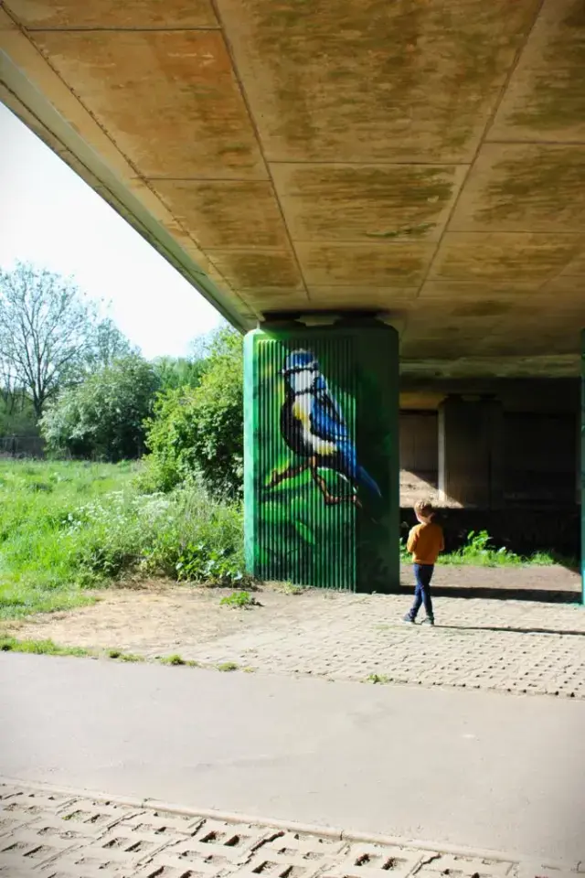 Boy Looks At Art On The Underpass