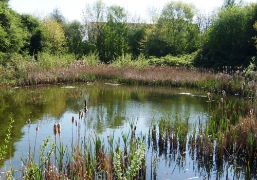 Marconi Ponds