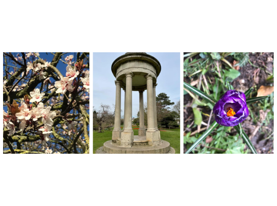 An Entry For Chelmsford City Council’S I Spy Facebook Competition Image Of Blossom, A Bandstand, And A Flower