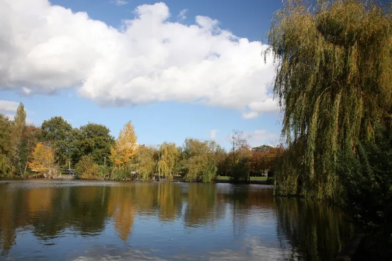 Central Park (1)