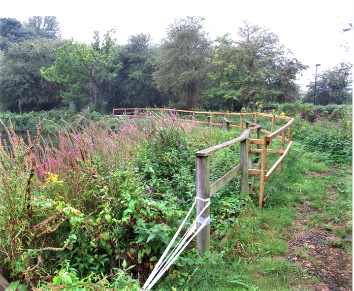 Marconi Ponds (Overgrown Pond)