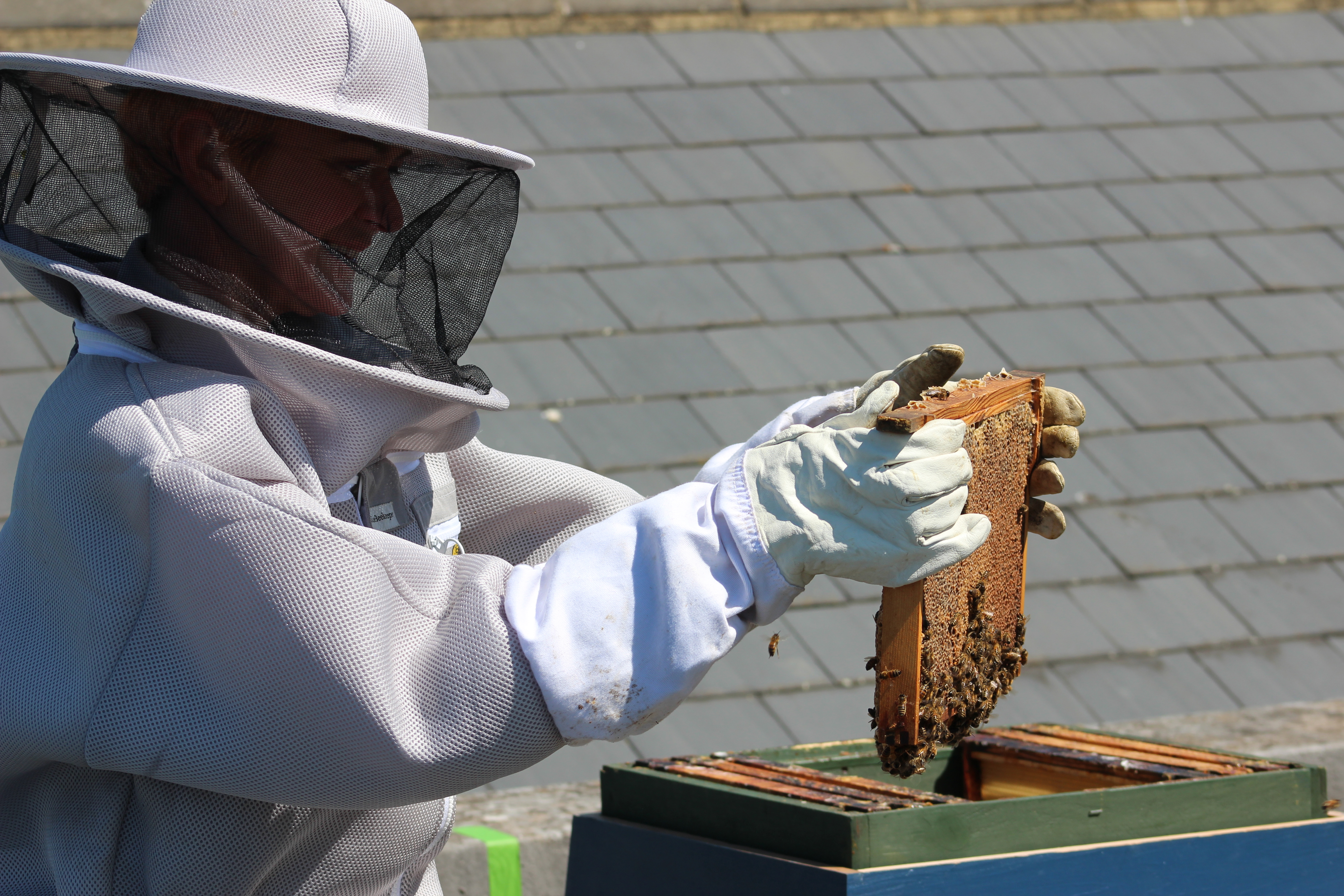 Cllr Moore With Bee Hive
