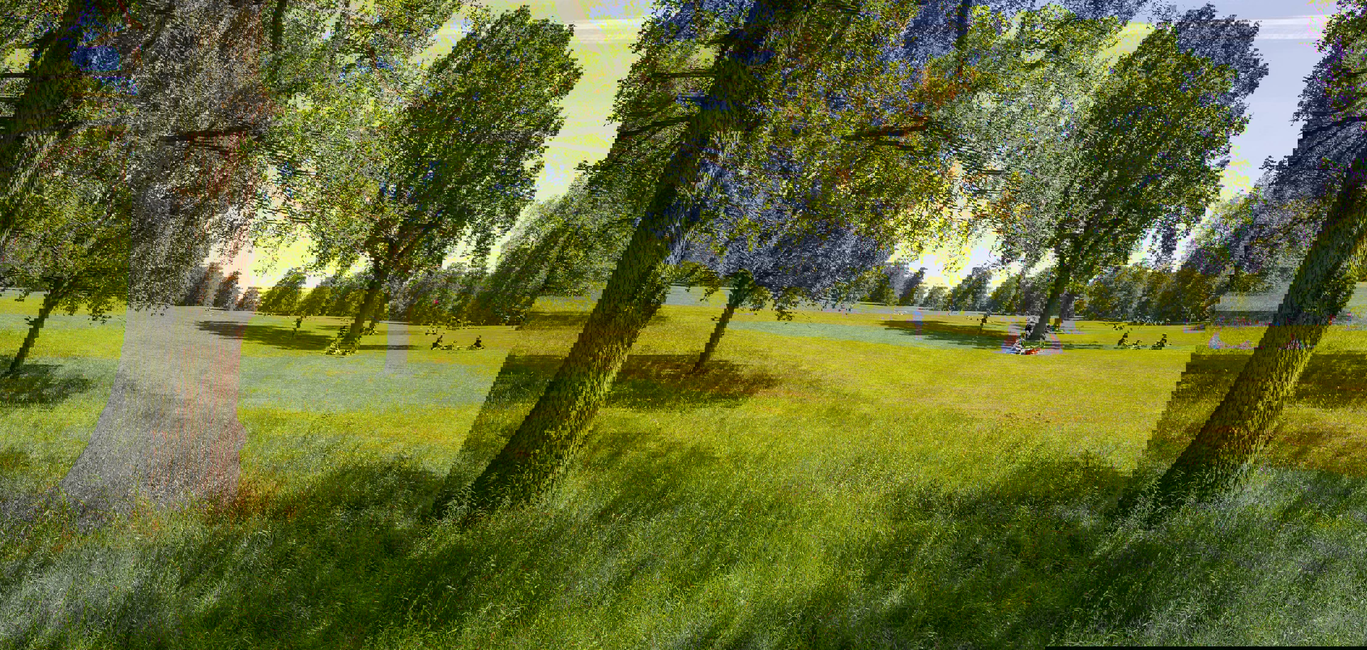 Hylandspark 105