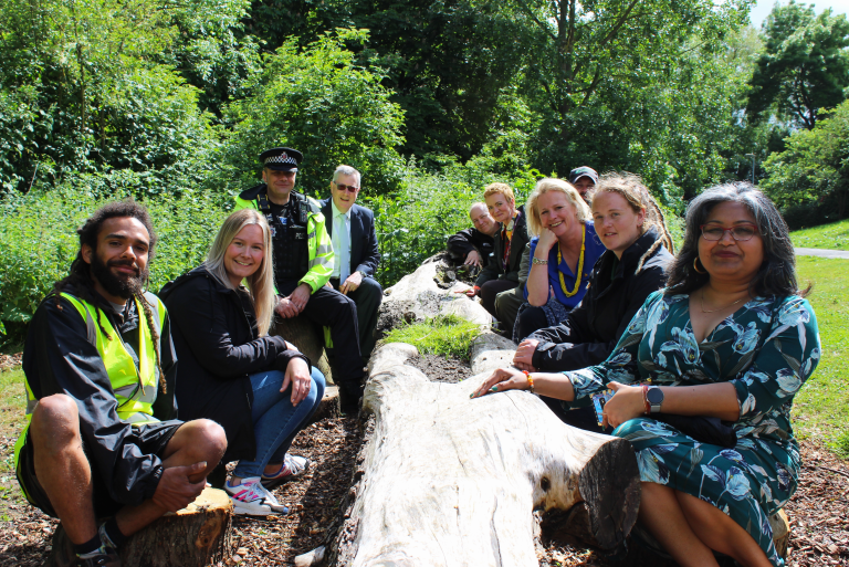 The Fallen Tree Installation