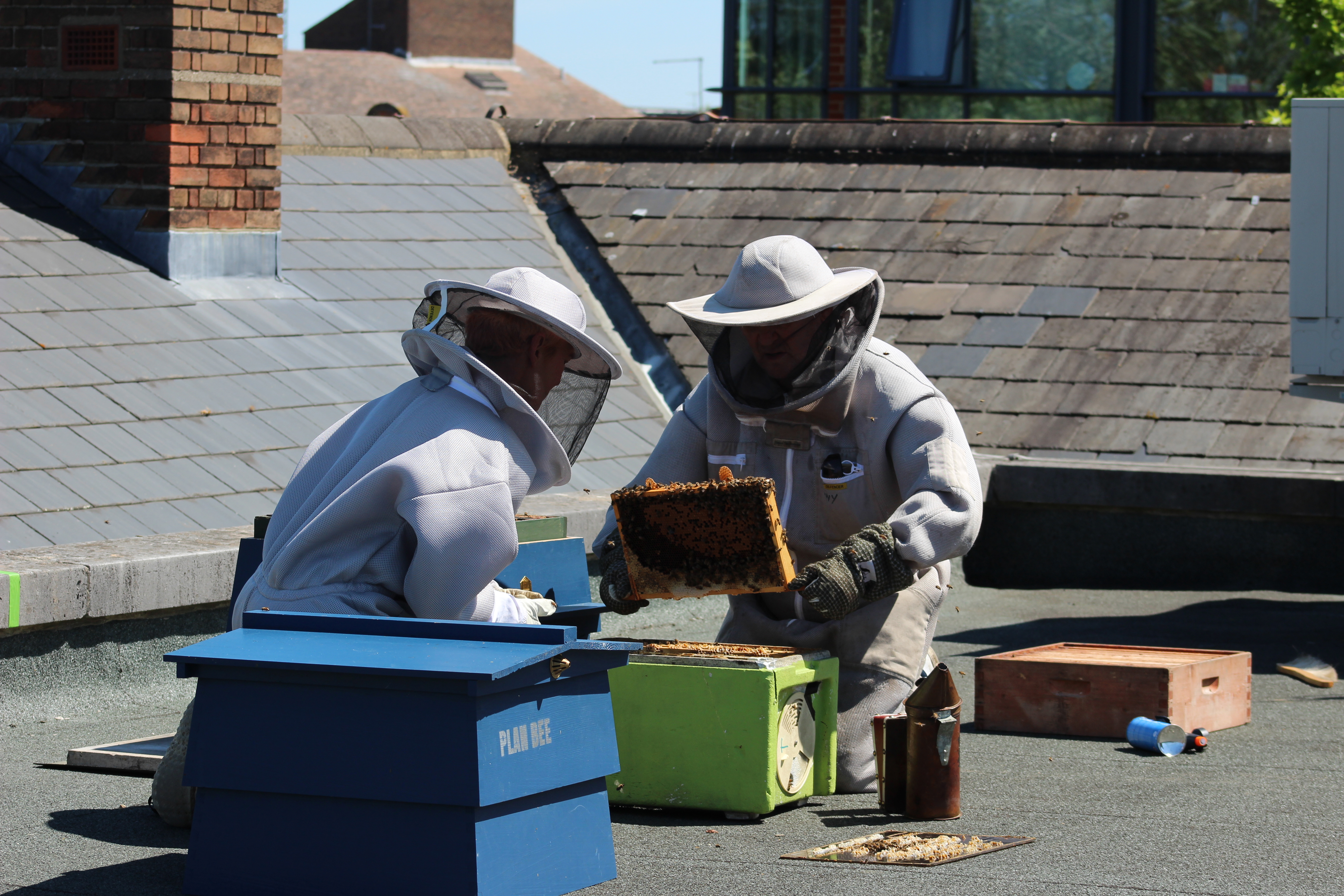 Installing Beehive