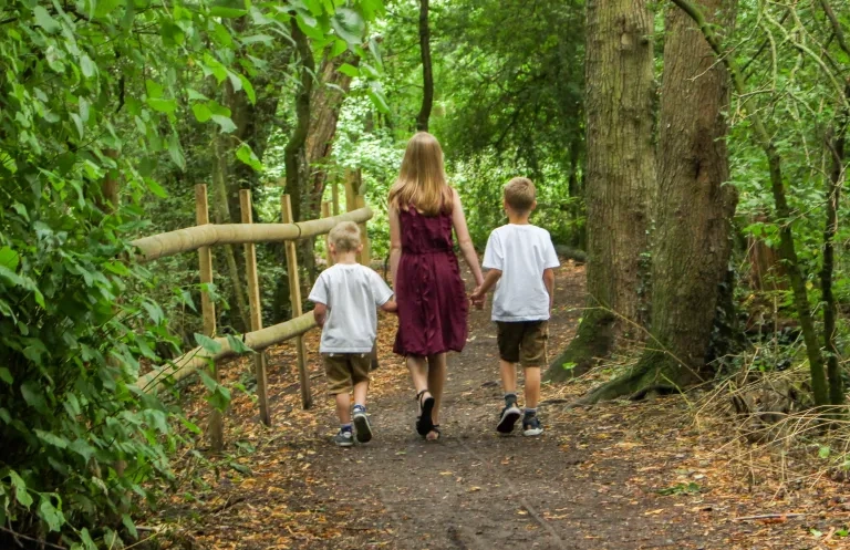 Children Walking In The Woods