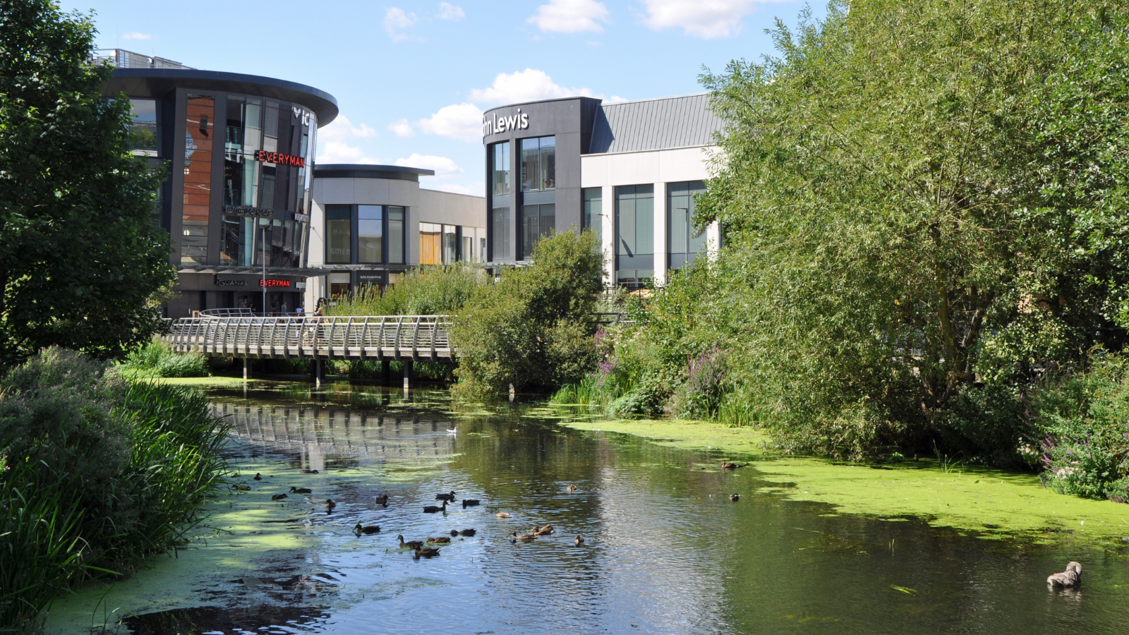 Untitled Design (48)