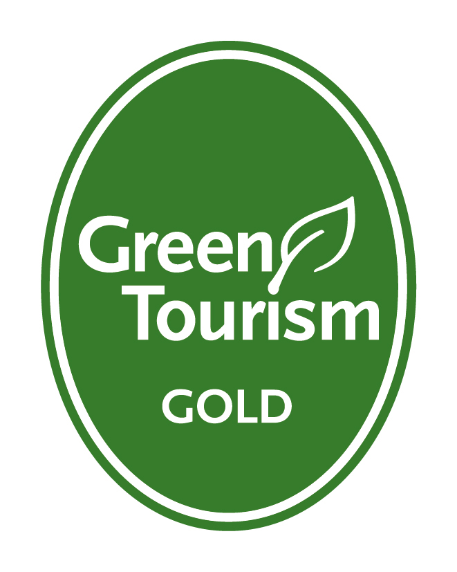 GT Generic Gold