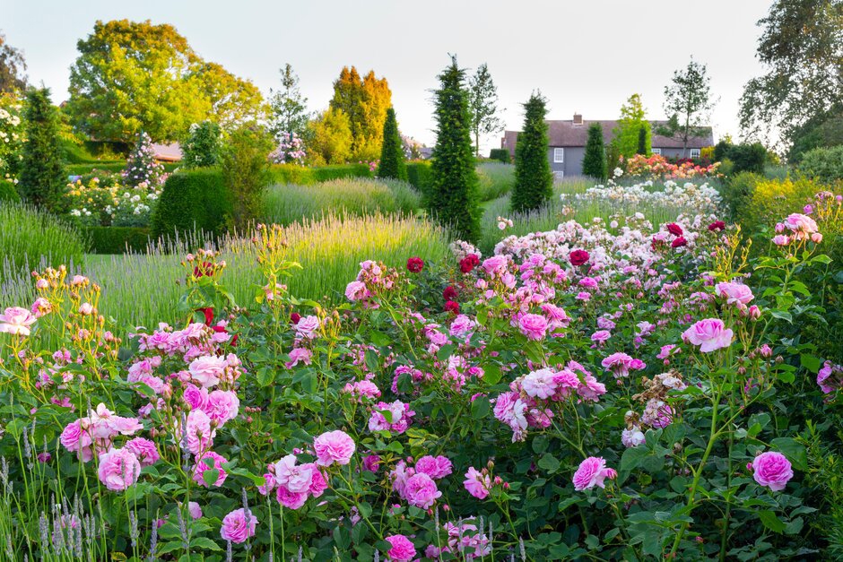 Credit RHS Garden Hyde Hall (2)