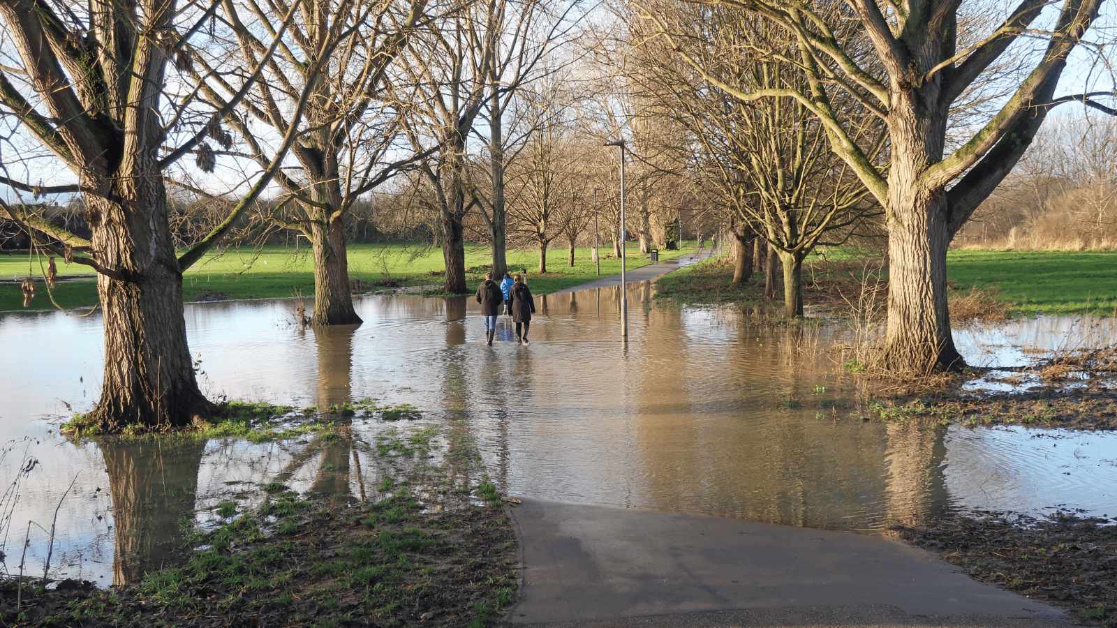 Untitled Design (49)