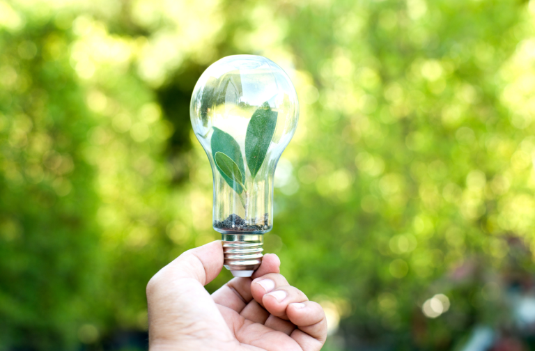 Lightbulb with green leaves inside