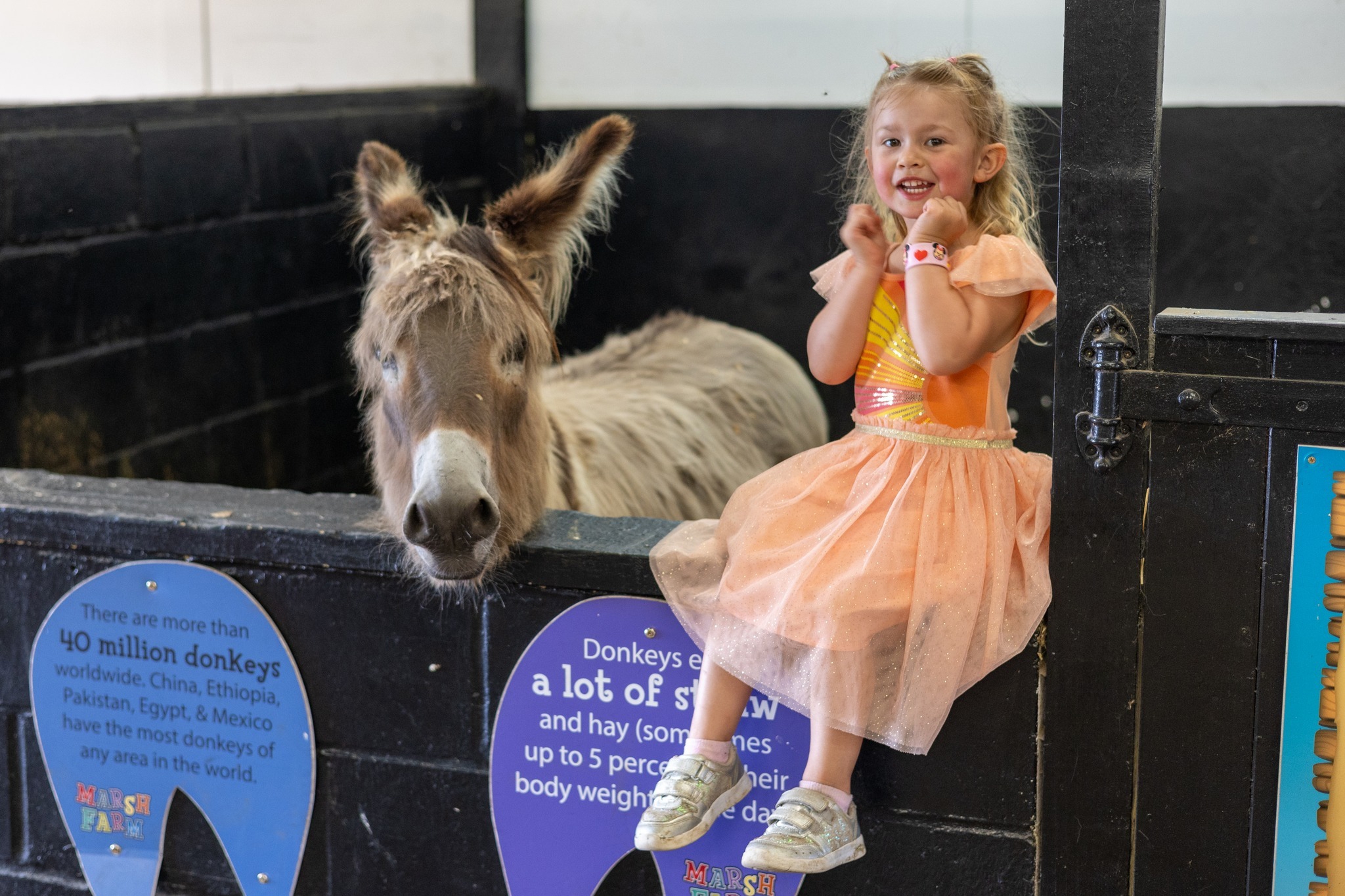 Toddler Fest. Credit Marsh Farm