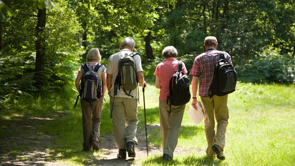 Four Walkers Are Pictured, Walking Away From The Camera. They All Have Backpacks, One Is Using A Walking Pole And Another Is Carrying A Map.